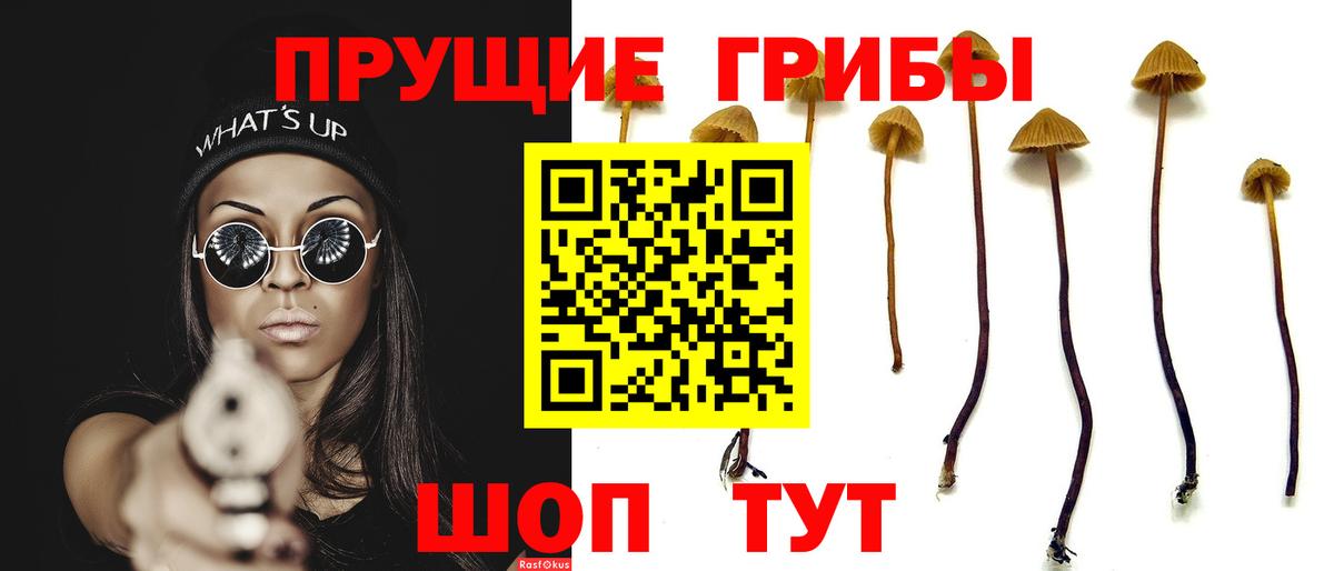 Псилоцибиновые грибы GOLDEN TEACHER  Вход с VPN  Псилоцибиновые грибы прущие грибы  Уссурийск 